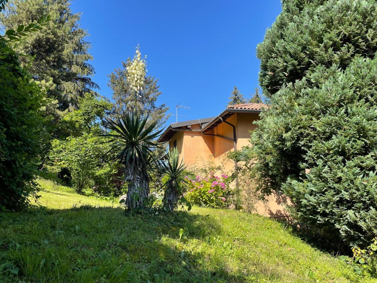 Appartamento Lake View Di Villa Giuliana Sulzano Exteriér fotografie